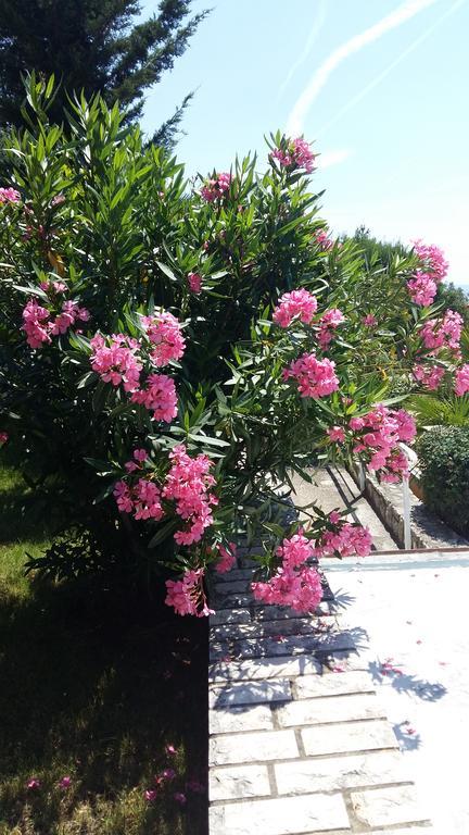 Apartment Sandra Rabac Luaran gambar